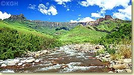How To Collect, And Make Healthy, Potable Water In the Wild