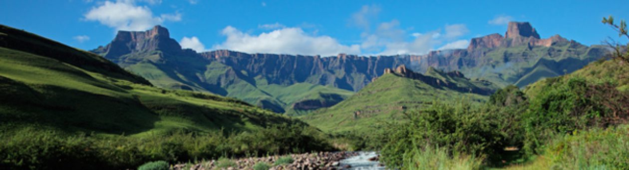 Practical Survival For South Africa