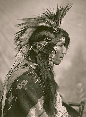 Cree