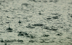 Rain Water