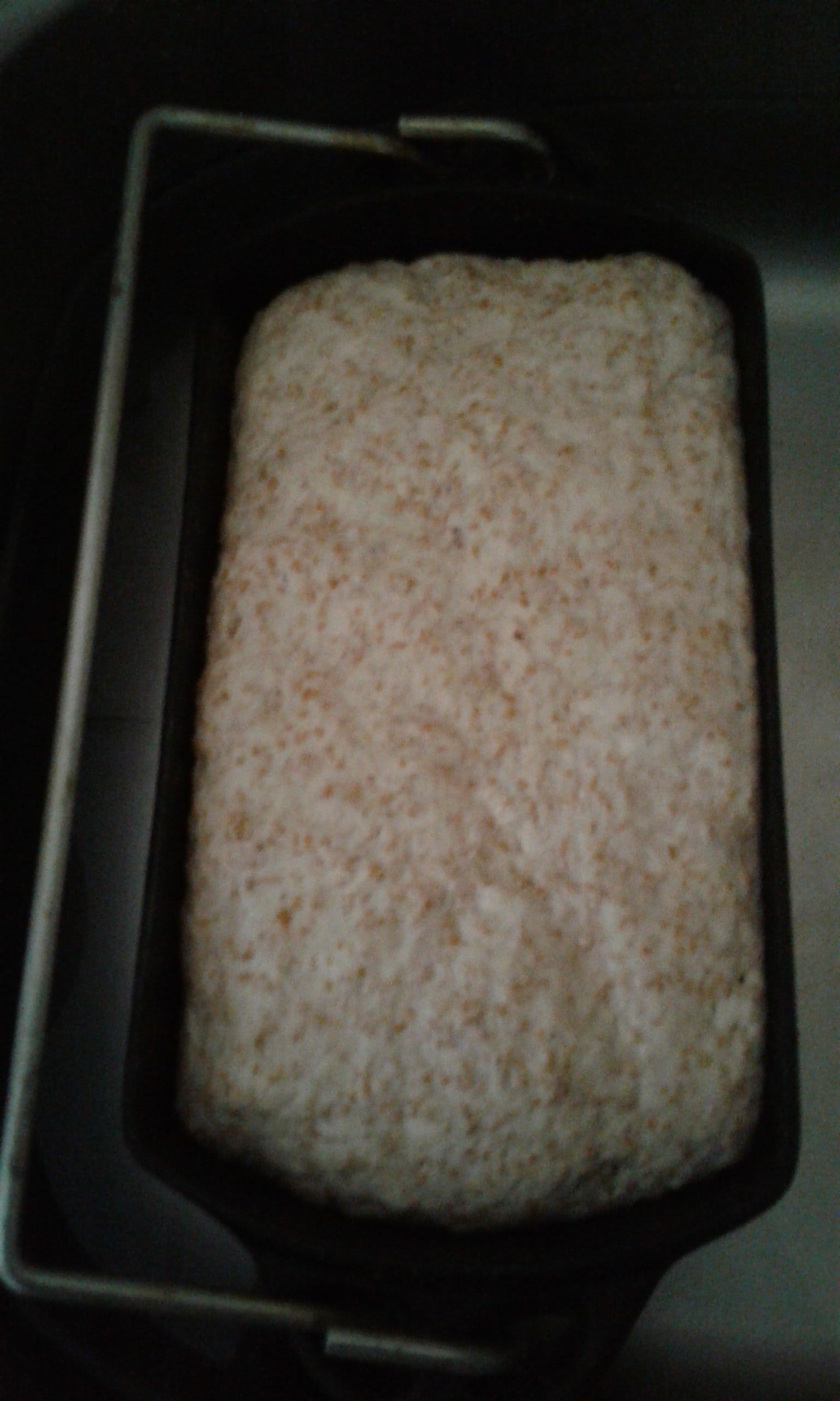 Kefir Bread