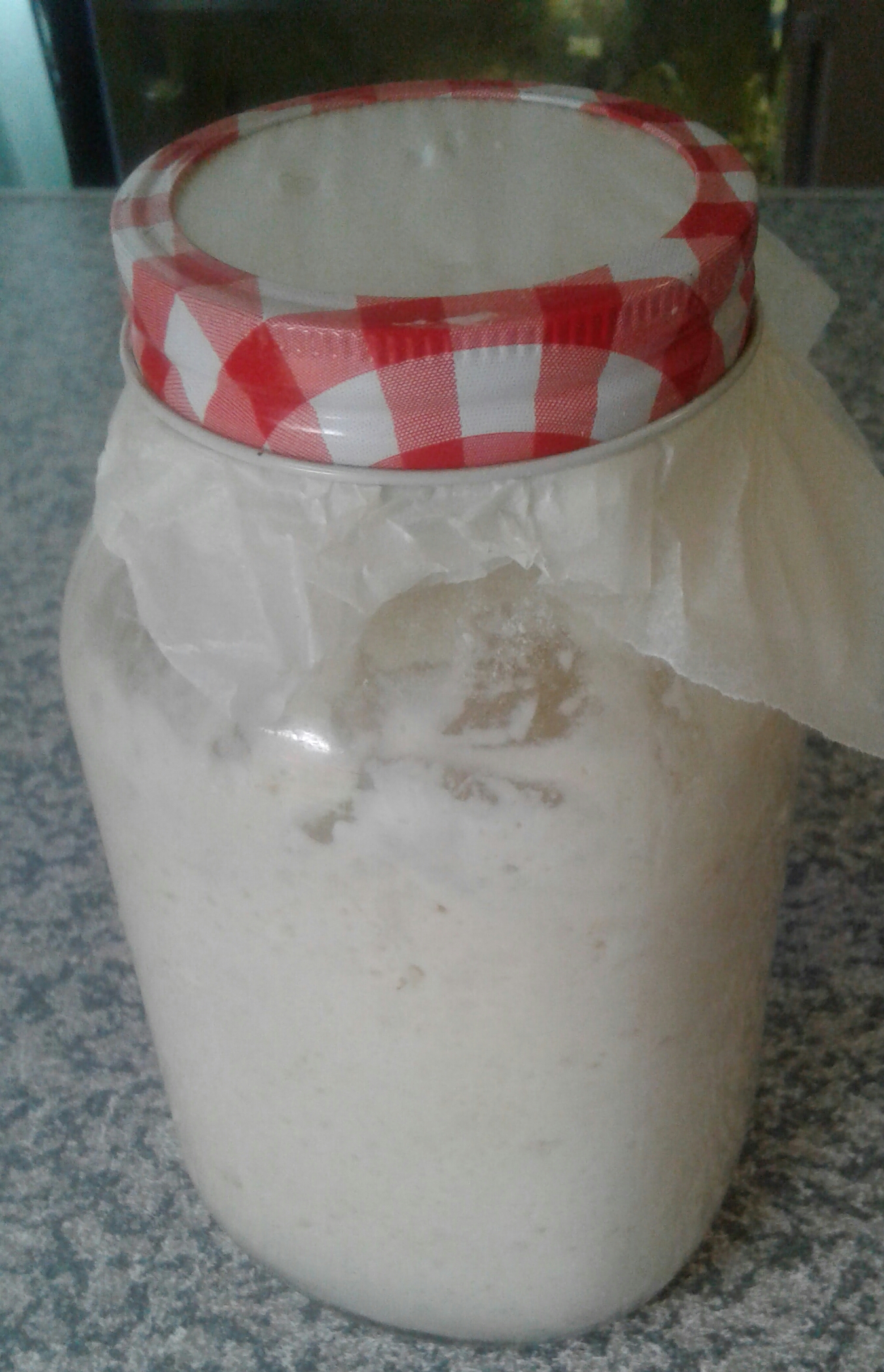 Kefir Sour Dough
