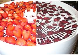 Drying Strawberries