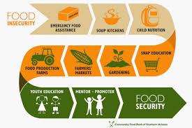 How To Collect The Best Food For Preppers
