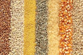 Whole Grain