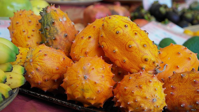 How To Grow African Horned Cucumber (Kiwano) In A Drum