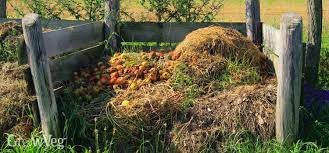 Compost heap