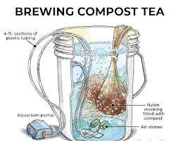 compost tea