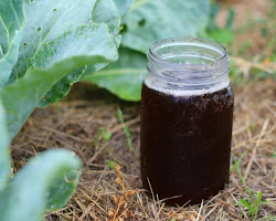 compost tea for vegetables
