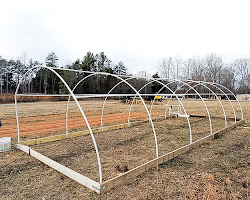 vegetable greenhouse
