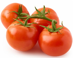 tomatoes