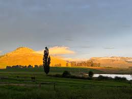 South African farm landscape illustrating rural environment where some violent crime occurs